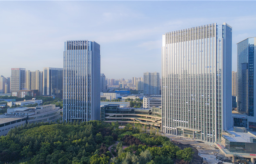 白桦林国际